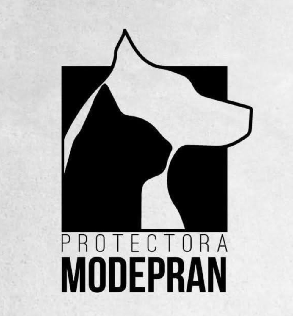 Modepran Valencia